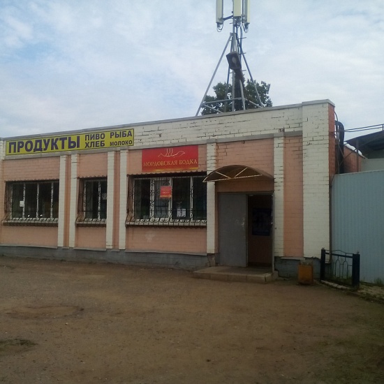 Купить торговую площадь г Саранск, ул Красина, д 1 