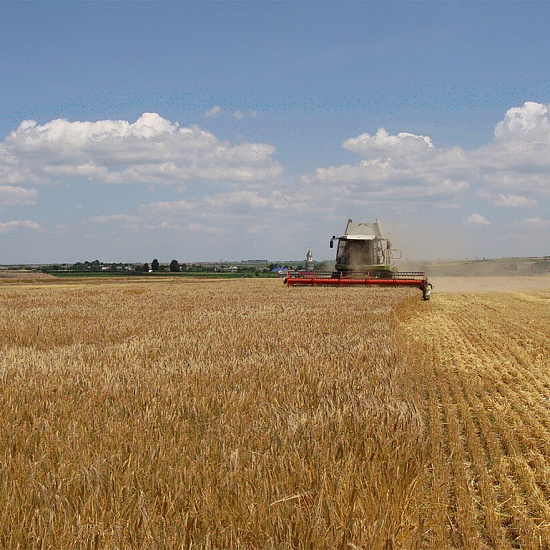Арендовать земельный участок Респ Мордовия, Дубенский р-н 