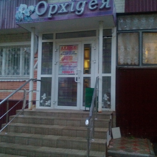 Купить торговую площадь г Саранск, б-р Эрьзи, д 11 